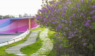 哈尔滨什么时候解封 哈尔滨什么时候解封