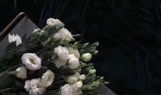 微信界面变黑色 微信界面变黑色