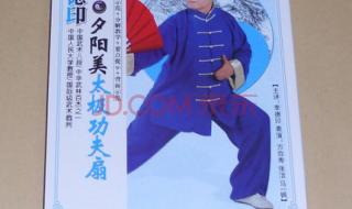 中国功夫太极扇教学 中国功夫太极扇教学