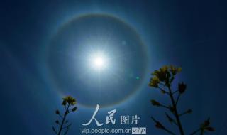 太阳周围有一圈彩虹 太阳周围有一圈彩虹