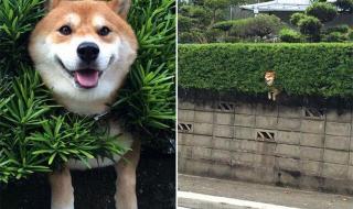 多少人走着却困在原地 多少人走着却困在原地