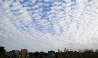 地震云是地震的前兆吗 地震云是地震的前兆吗