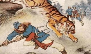 奥运会都有哪些项目