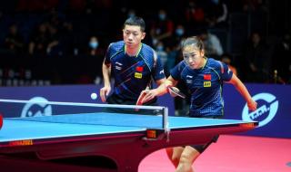 2021年乒乓球世乒赛